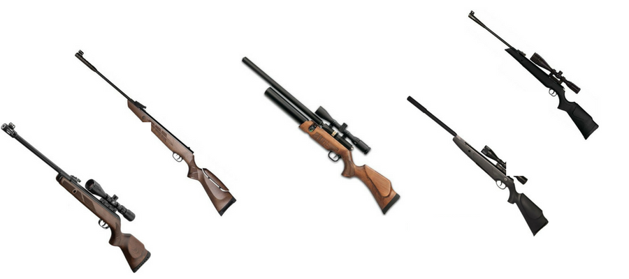 Discover 5 High-Powered Rifles